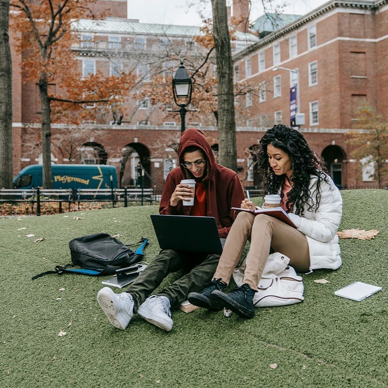 college students studying outside